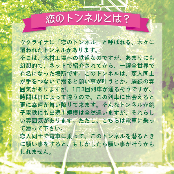【銚子電鉄】恋のトンネル通過証明