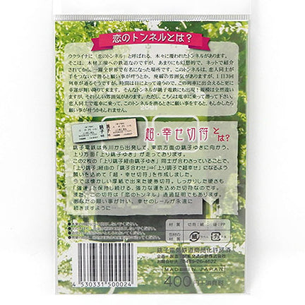【銚子電鉄】恋のトンネル通過証明